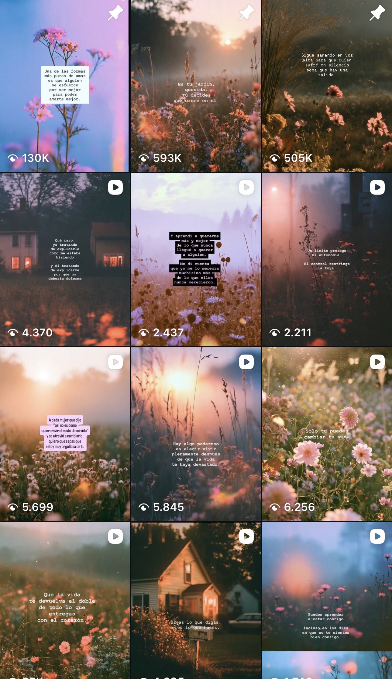 Anna’s Instagram grid of images and Spanish text, with view counts on the posts.