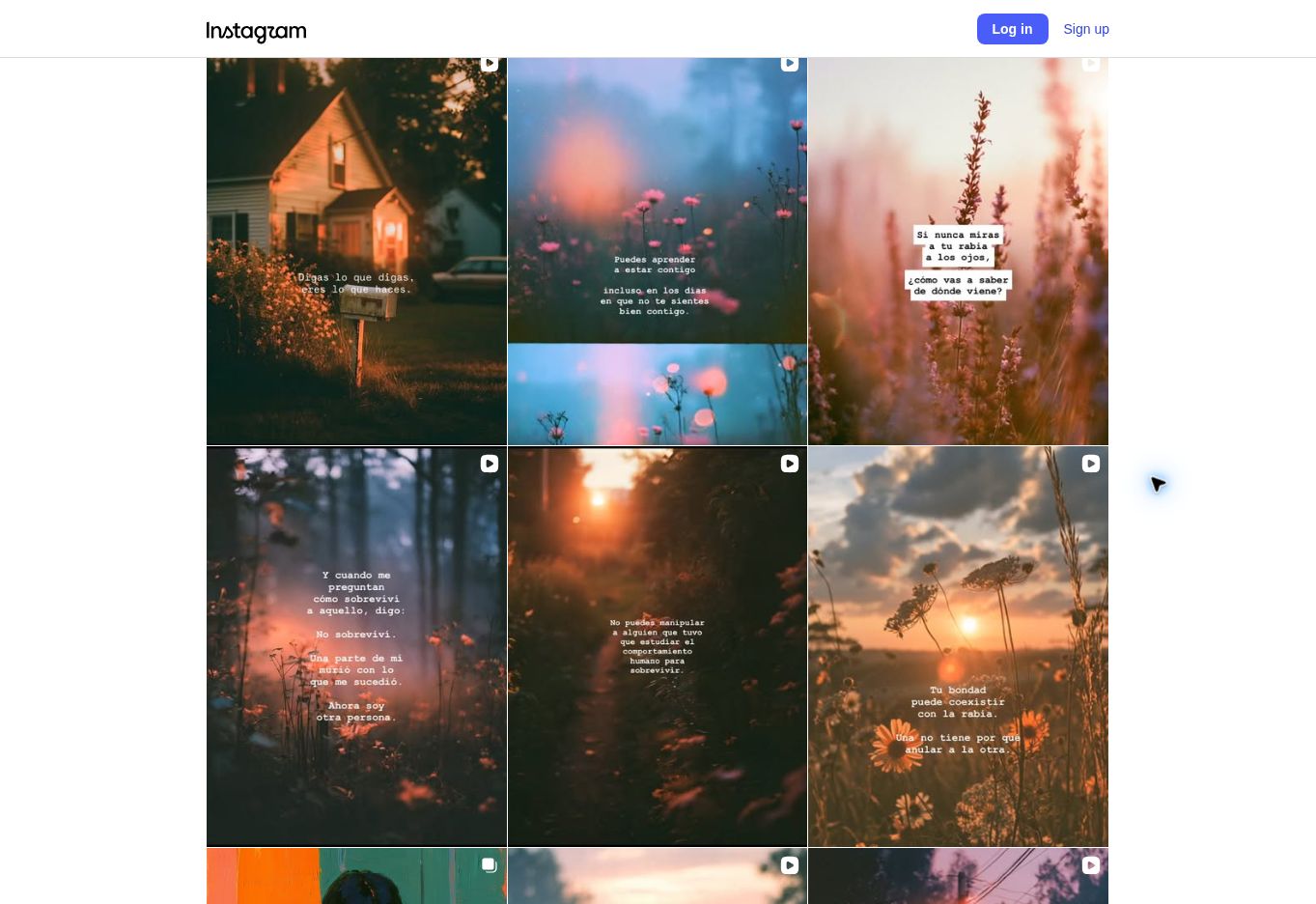 Anna’s Instagram grid: flowers, forest light and reflections written in Spanish.